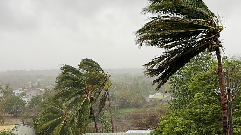 モザンビークを襲ったサイクロン・チド、死者73人に　被災の今