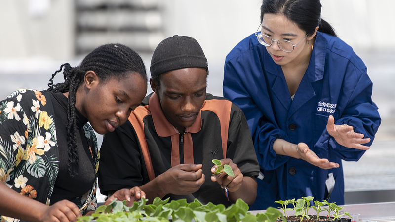 中国とアフリカが「長沙宣言」　グローバル・サウス協力は新段階へ