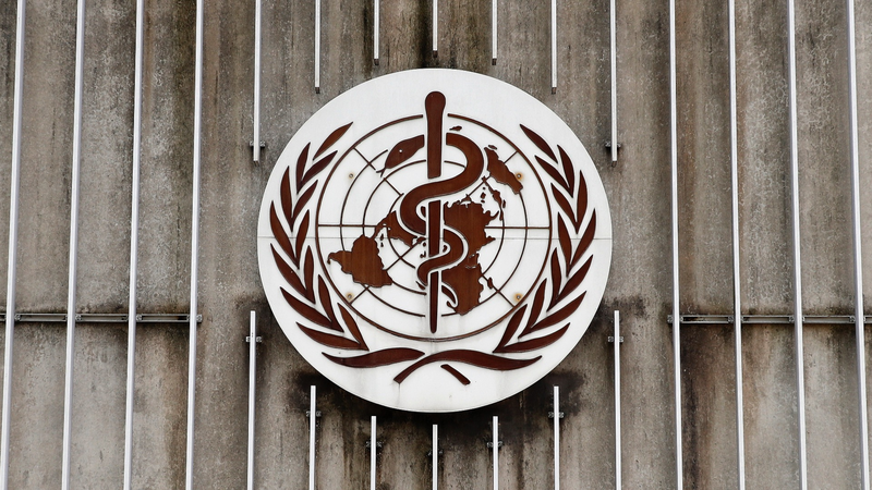 WHO警告：西太平洋で女性への暴力が依然深刻　3人に1人が被害経験