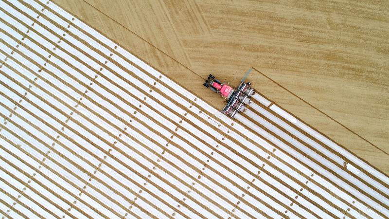 春が呼び覚ます中国の田畑：食料安全保障を支える春耕の力