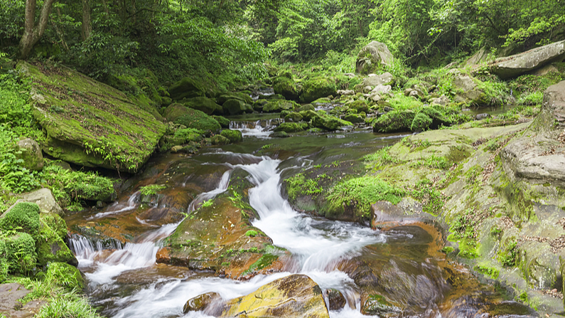 中国・浙江省の銭江源国家公園　97％が森の「自然の酸素バー」 video poster