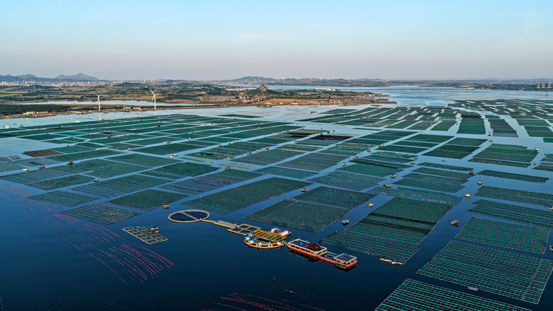 ノルウェー経済界が注目　中国と欧州のグリーン協力が気候と経済のカギに