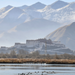 ラサのラル湿地、世界最高標高の自然都市湿地に認定　WRCAが確認