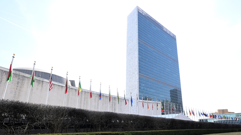 戦後国際機関のいま：国連・WHO・WTOのレジリエンスと再均衡