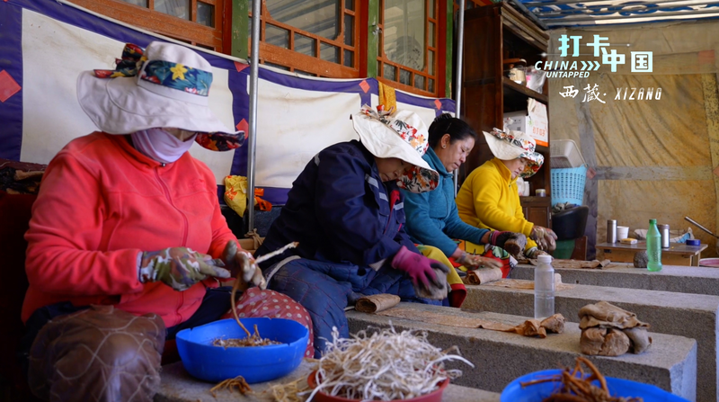 毒草から生まれたチベット紙　カビも虫も寄せつけない知恵とは video poster