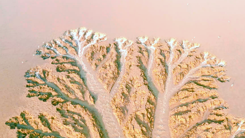 空から見る中国・江蘇省・大豊ミルー自然保護区　湿地に広がる人と自然の調和 video poster