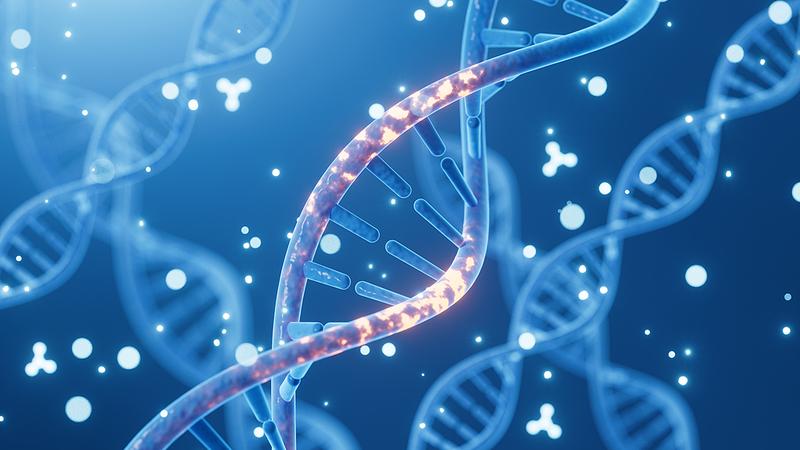 男性の認知症リスク2倍　鉄関連遺伝子変異を豪研究が報告