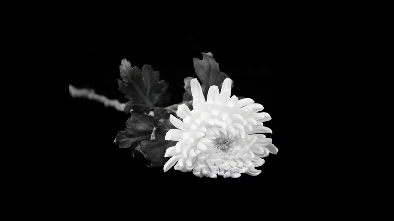 元中国副首相Zou Jiahua氏の遺体、北京で火葬　党・国家指導者が別れ