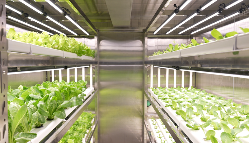 中国の海上スマート農業が加速　世界初の海上栽培モジュールとは video poster