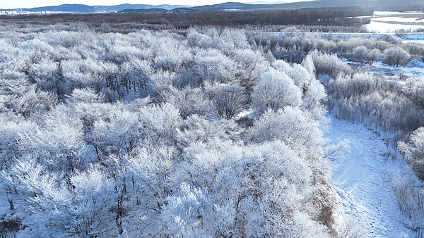 中国最北端・漠河の雪原とアジア冬季大会　氷雪の魅力をライブで video poster