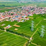 CMGが発表「2025年 中国本土の農村振興トップ10ニュース」