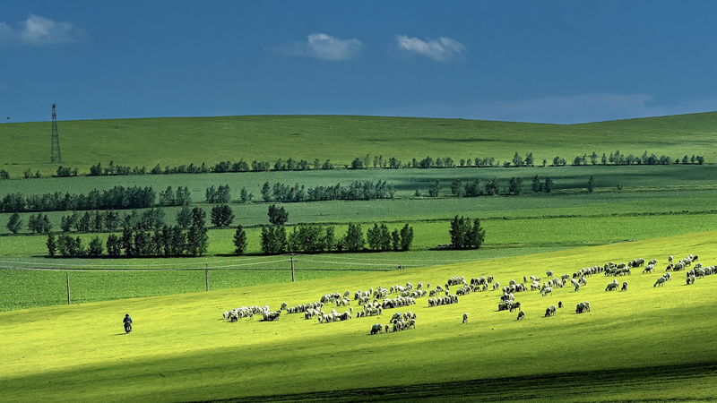 干ばつの長期化で草原が崩壊？中国本土主導の28カ国研究が警鐘