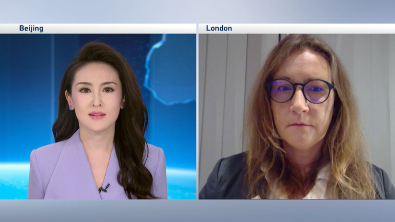 ガザ人道危機をIFRC担当者が語る　4万6千人超死亡と停戦・人質合意の行方 video poster