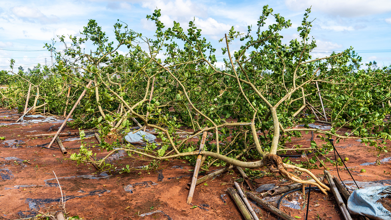 中国本土の気候危機に挑む この秋に試された機敏な災害対応