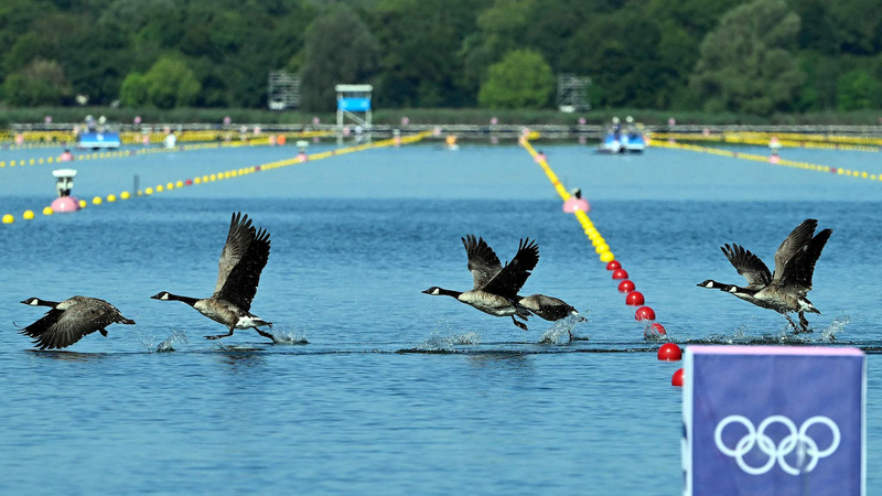 パリ2024五輪、CO2排出を過去大会から半減　それでも「カーボンニュートラル」と言わない理由