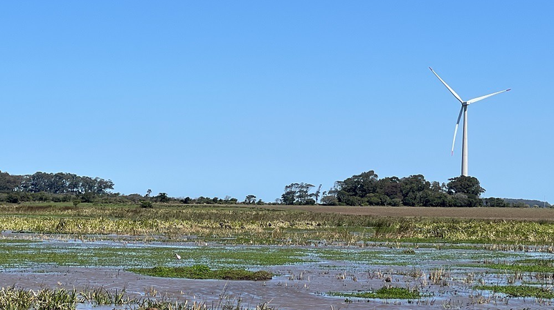 習近平氏、中国・LAC協力強化へ　北京で中国・CELACフォーラム基調演説