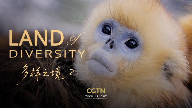 人間と生物圏を描く科学ドキュメンタリー「Land of Diversity II」 video poster