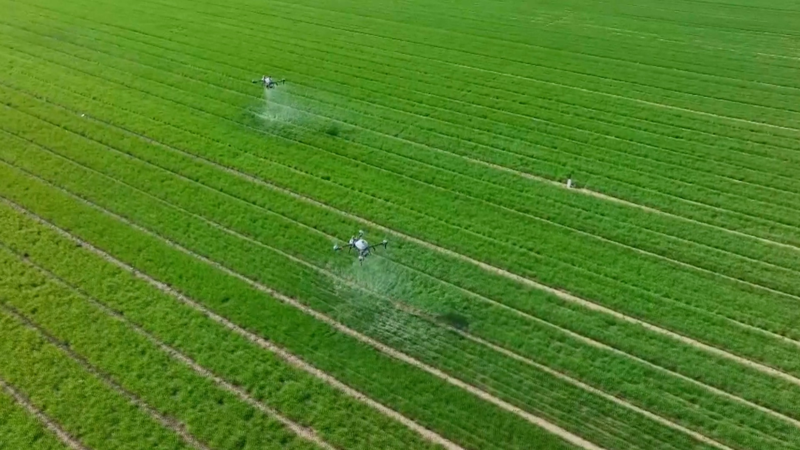 LUHZ1P4MZEBJTW21O31B - NewsTomo – 日本語で読む、世界のニュースハブ 中国2025年「中央一号文書」 農村改革ロードマップの意味を読む video poster