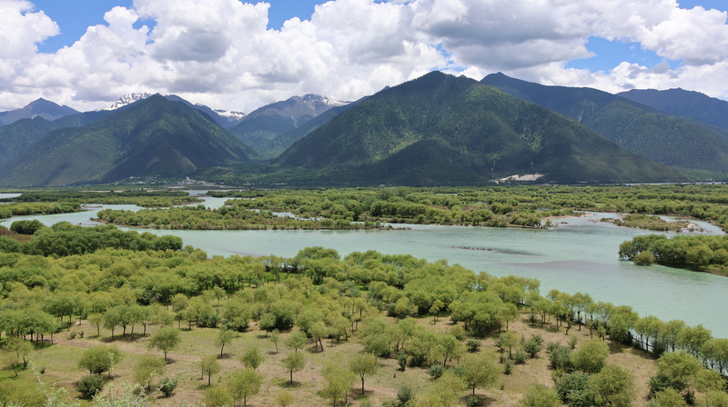 中国南西部・ヤニ湿地：『世界の屋根』に息づくオアシス