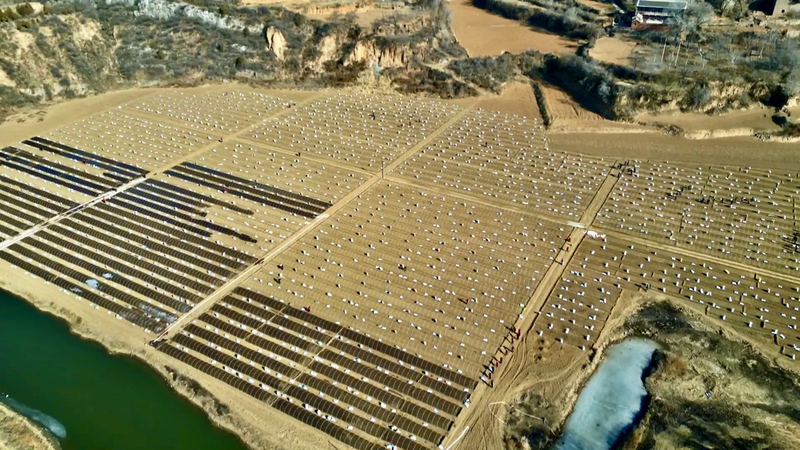 中国北部の荒れ地がトウガラシ畑に 山西省の春耕と農業合作社 video poster