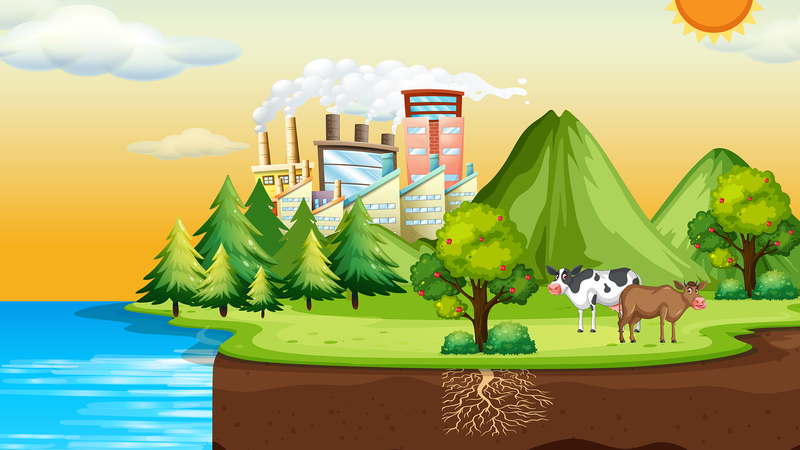 地球炭素循環シミュレーションに新モデル　GPPを簡潔かつ高精度に評価