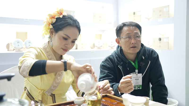 雲南・氷島プーアル茶：野生茶が世界の茶市場へ歩む物語 video poster