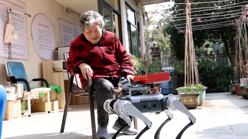 杭州の高齢者施設でロボット犬が服薬サポート　量産目前 video poster