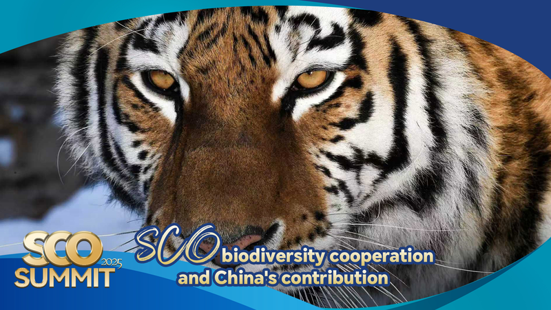 SCOで進む生物多様性協力と中国の貢献を読み解く