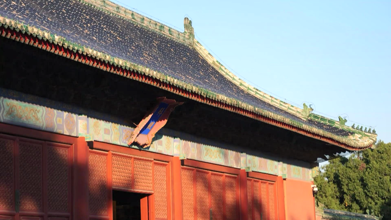 国際ニュースを日本語で：中国の伝統と現代を結ぶCGTN『The Vibe』4つの物語