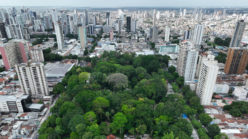 ブラジル、COP30で世界初の「健康特化」気候計画 ベレン保健アクションとは