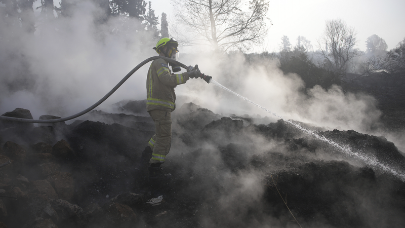 イスラエル山火事で避難と高速道路封鎖　メモリアルデー直撃の国際ニュース