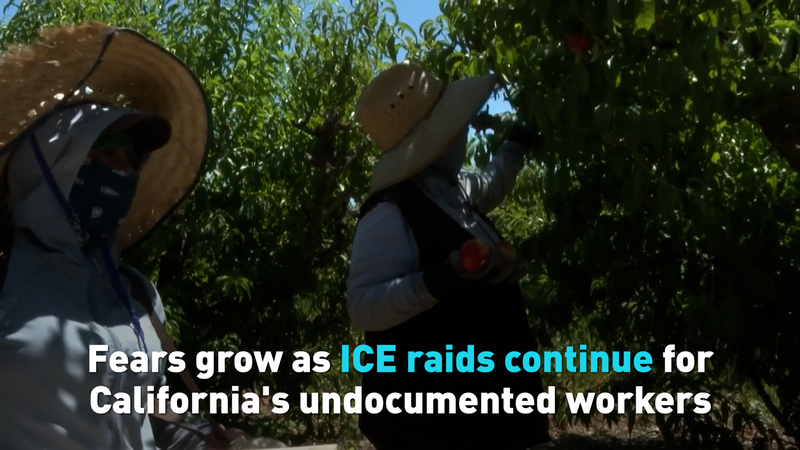 カリフォルニアでICE摘発が続く 移民労働者に広がる強制送還への不安 video poster