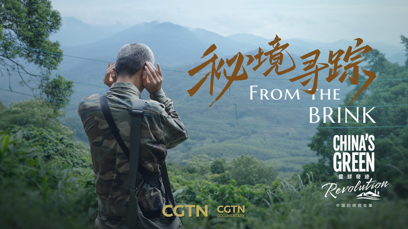 自然に声を与える：中国のグリーン革命と森の守り人 video poster