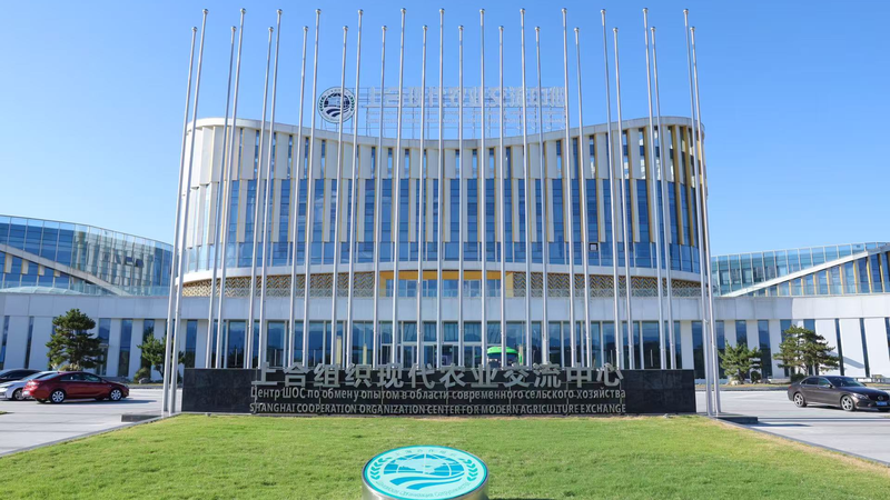 SCO農業協力の新拠点・楊凌　AIとデータで変わる中国発スマート農業