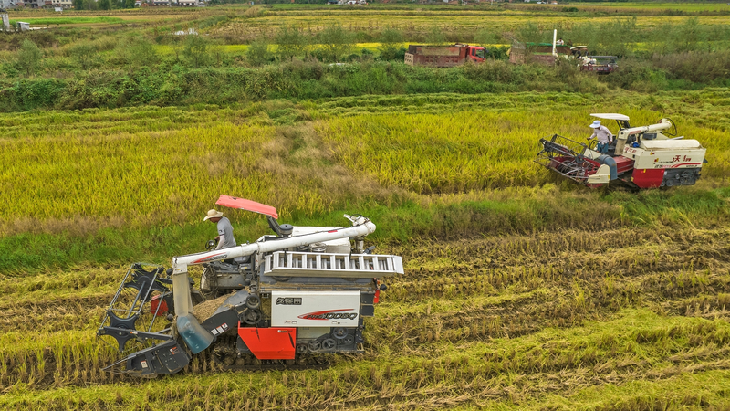 中国の李強首相、穀物供給の安定を強調　2025年7億トン目標と農村振興