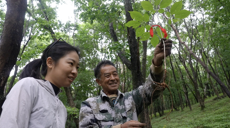 中国・ジアンの農村再生：一村一品が生む持続可能な成長モデル video poster