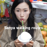 三亜の定番に飽きた人へ：隠れスポットを歩く2つの街歩きルート video poster