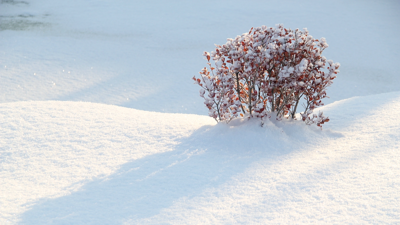 気候変動で寒波は「弱く・まれに」　中国・米国共同研究が示す新現実