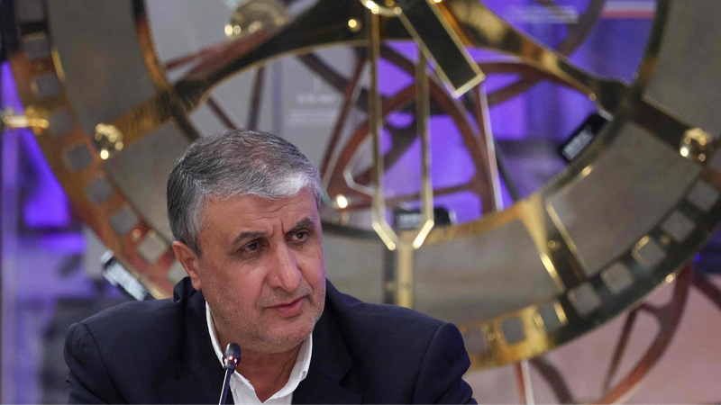 イランとロシアが250億ドル原発合意 南部シーリークに4基新設