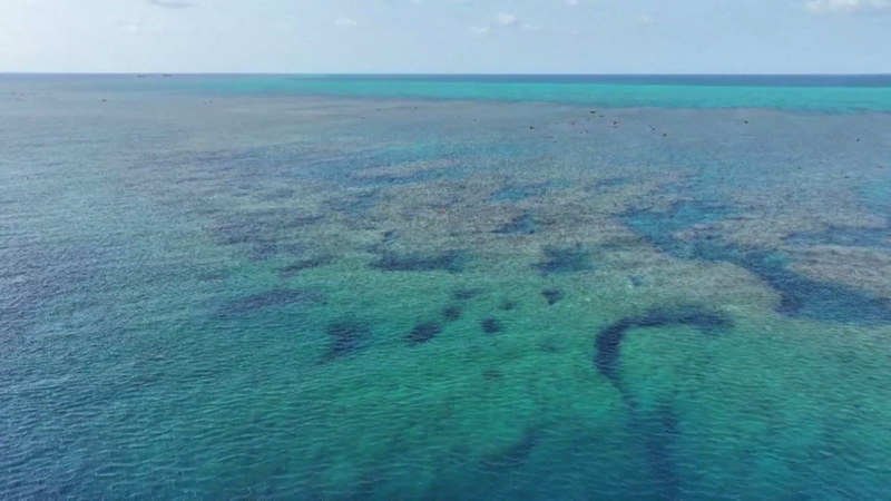 中国の黄岩島周辺海域、生態環境の2025年報告書を公表