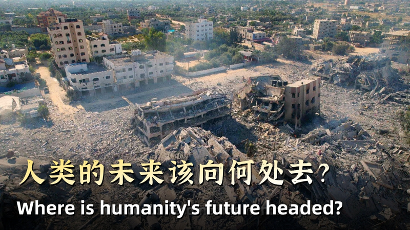 人類の未来はどこへ向かうのか　欧州政治家が語る危機と中国の役割 video poster