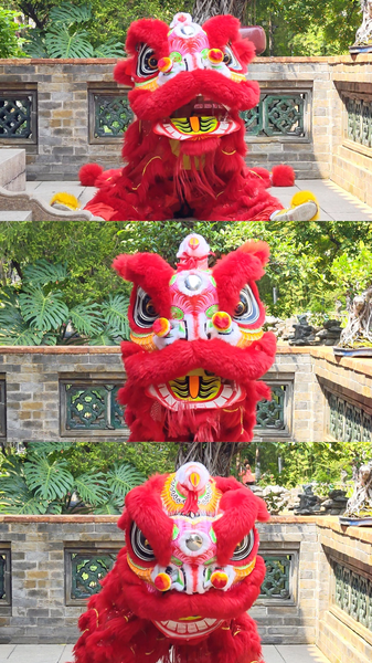 人間の感情を完全再現？ライオン動画No chill, only fluffがSNSで話題 video poster