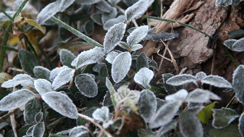 中国本土で寒波が3連続　強風・気温急降下・大雪に広範囲で警戒