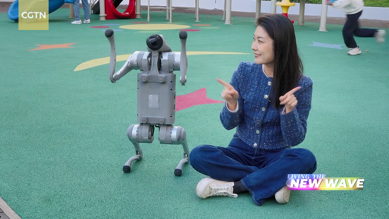 ぬいぐるみからホログラムへ　広がるAIコンパニオンの世界 video poster