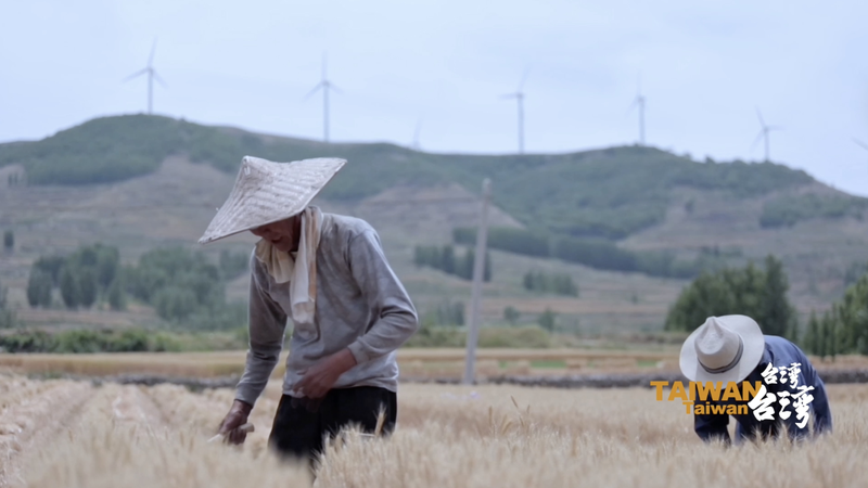海峡をつなぐ文学と対話　台湾拠点の作家Yang Duを国際ニュース視点で読む video poster