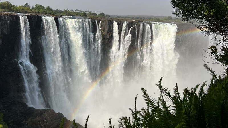 中国とアフリカが湿地を守る理由 COP15ビクトリアフォールズから