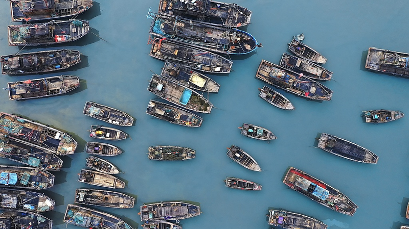 中国南部の漁港で夏季休漁明け　4港から始まる新たな漁の季節 video poster