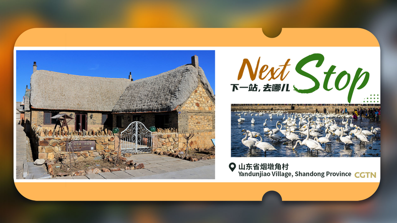 中国・山東省の漁村ヤンドゥンジャオ、国連「2024年ベスト観光村」に