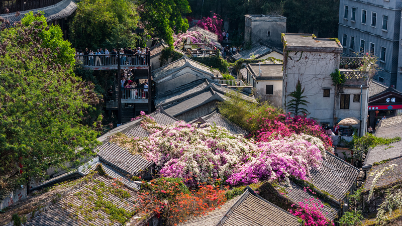中国第15回全国体育大会と深圳・ガンケン客家タウンの今 video poster