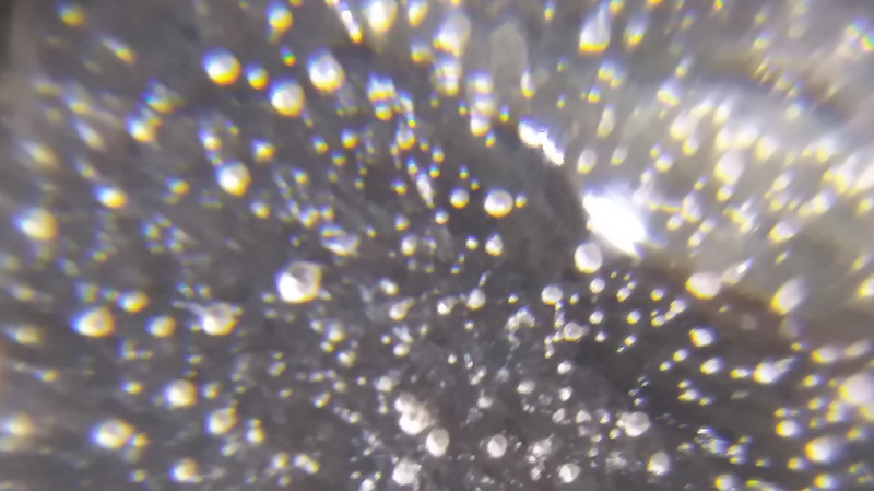 国際ニュース：イタリアの少子化と不妊危機　犯人はマイクロプラスチックか